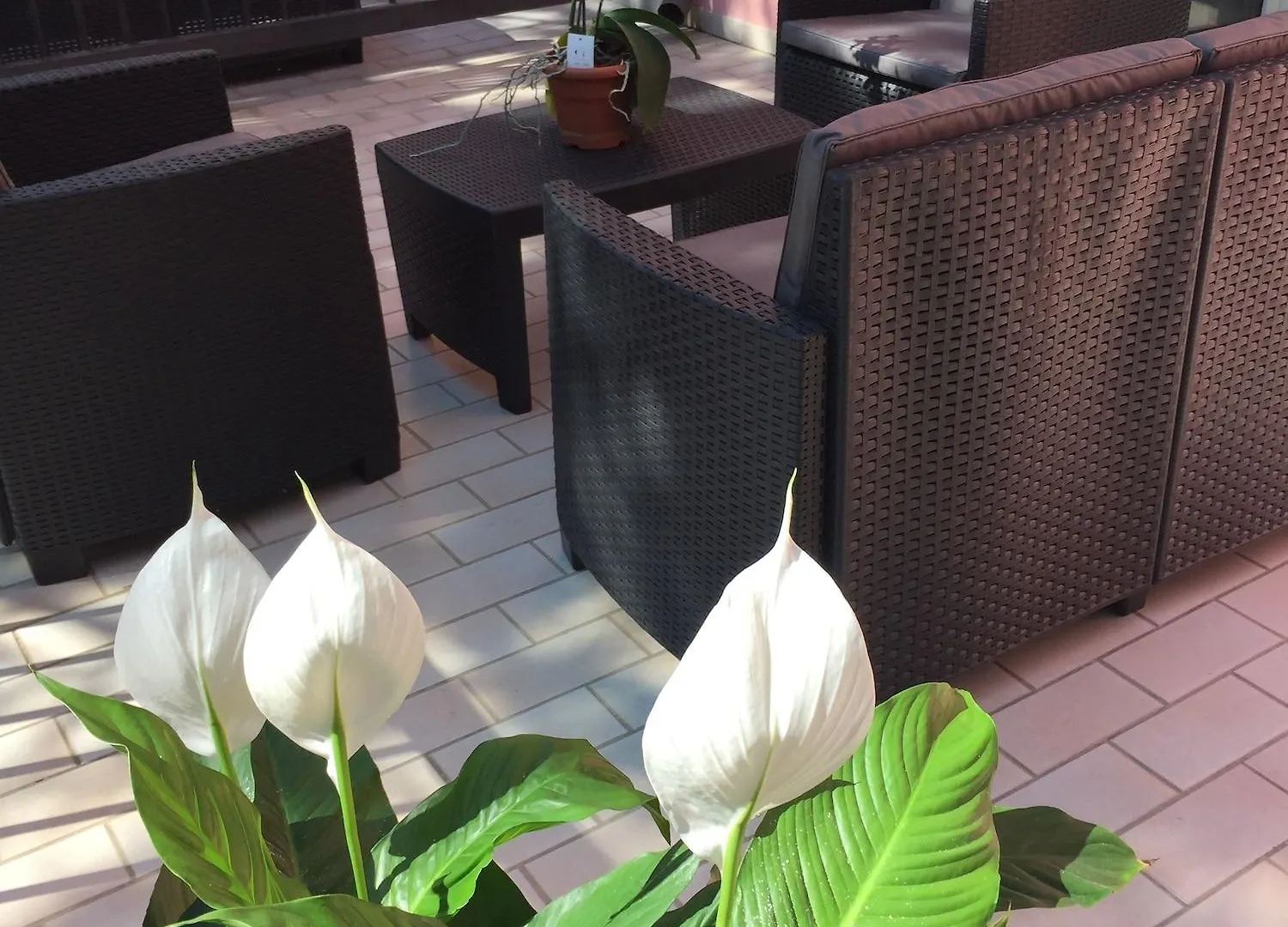 Hotel Storione Lido di Jesolo 3*,